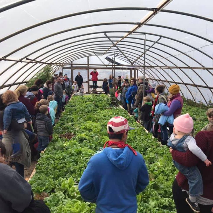 ywam-tyler-agtech-missionary-greenhouse