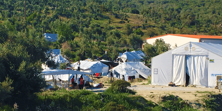 Olive Grove, Camp Moria, Lesbos, Greece