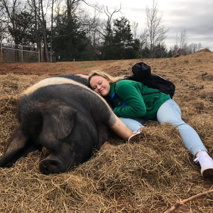 ywam-tyler-missionary-agtech-dts-kyra-pig